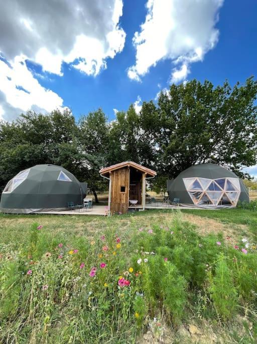 Dome Insolite Cedre Jacuzzi Et Petits Dejeuners Inclus Lagraulet-du-Gers Exterior photo
